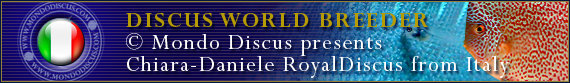 discus world breeder