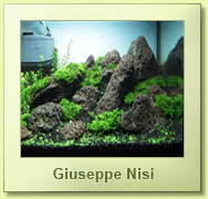 Cubo per caridine rocce laviche