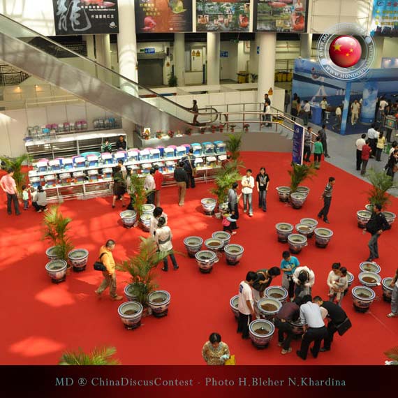 Discus Contest Shanghai - China