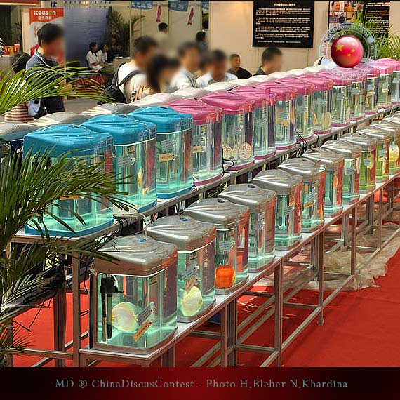 Discus Contest Shanghai - China