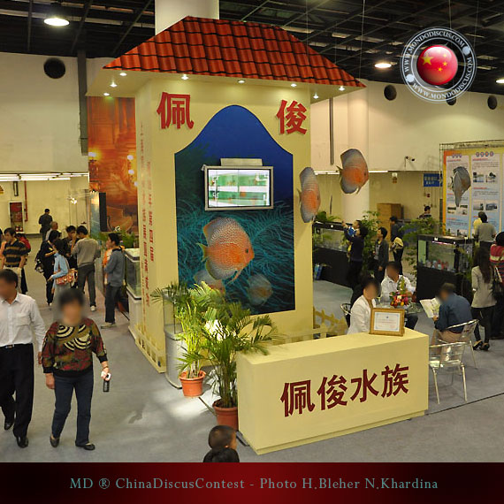 Discus Contest Shanghai - China