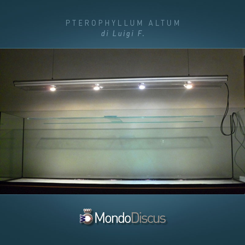 MasterArticoli-PterophyllumAltum3