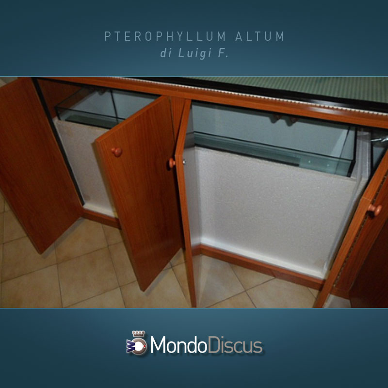 MasterArticoli-PterophyllumAltum4