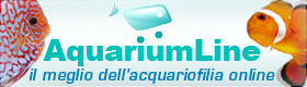 Acquariumline (1)
